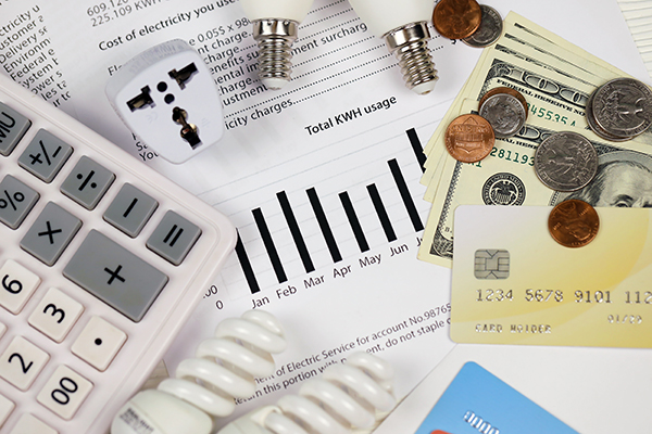 Ahorros en la Factura Energética